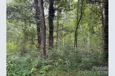 99999 Elk Mountain Ridge #13, Asheville, NC 28804 - Photo 22