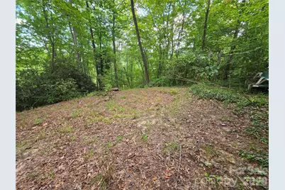 40 Gunches Dirt Road, Candler, NC 28715 - Photo 6