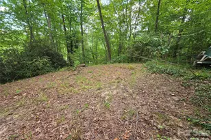 40 Gunches Dirt Rd, Candler, NC 28715 - Photo 6