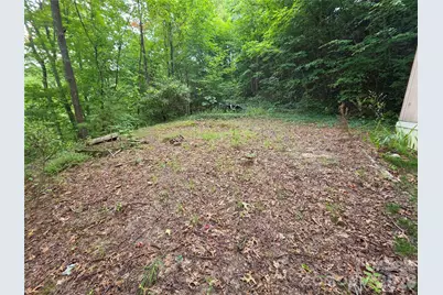 40 Gunches Dirt Road, Candler, NC 28715 - Photo 16