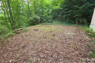 40 Gunches Dirt Rd, Candler, NC 28715 - Photo 16