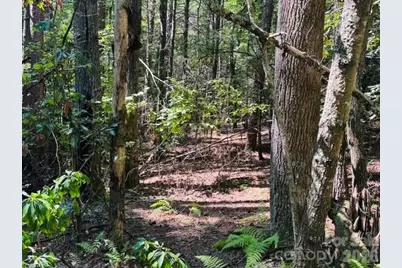 475 Old Little Mountain Road, Pisgah Forest, NC 28768 - Photo 12