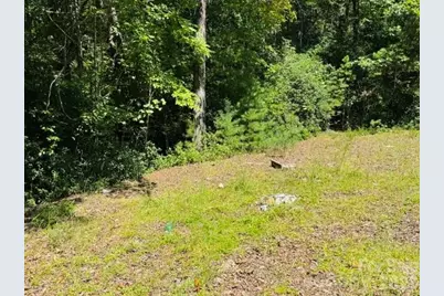 475 Old Little Mountain Road, Pisgah Forest, NC 28768 - Photo 24
