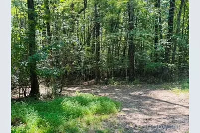 475 Old Little Mountain Road, Pisgah Forest, NC 28768 - Photo 20