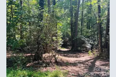 475 Old Little Mountain Road, Pisgah Forest, NC 28768 - Photo 22