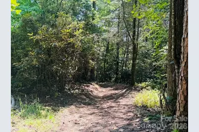 475 Old Little Mountain Road, Pisgah Forest, NC 28768 - Photo 6