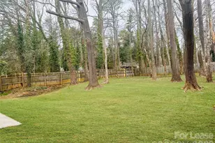 6506 Santa Cruz Trail, Charlotte, NC 28227 - Photo 12