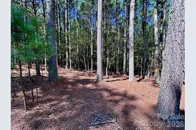 1461 Cordova Drive, Connelly Springs, NC 28612 - Photo 4