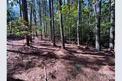 1461 Cordova Drive, Connelly Springs, NC 28612 - Photo 2