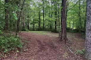 6 Green Knoll Dr, Candler, NC 28715 - Photo 32