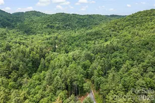 68 Huckleberry Rdg Ln, Zirconia, NC 28790 - Photo 42