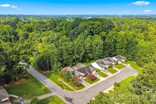 803 Whetstone Pl SW, Conover, NC 28613 - Photo 30