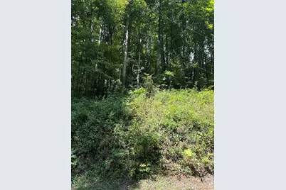 99999 Trillium End Lane #40, Waynesville, NC 28786 - Photo 4
