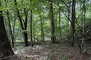 92 Silas Branch Rd, Burnsville, NC 28714 - Photo 44