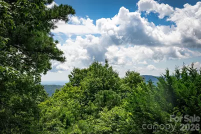 1795 McKenzie Way N #505, Old Fort, NC 28762 - Photo 38