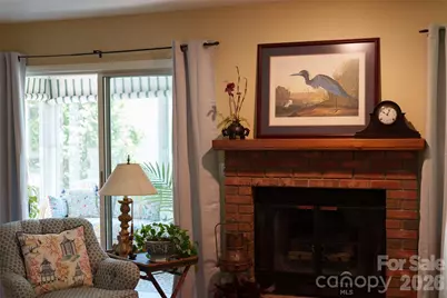 20 Mallard Court, Brevard, NC 28712 - Photo 8