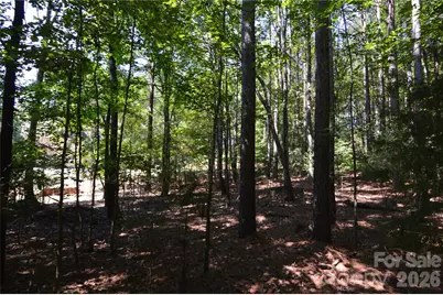 3009 Ashwood Park Drive #271, Belmont, NC 28012 - Photo 10