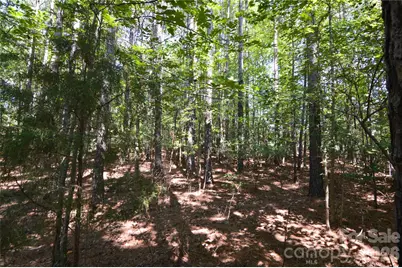 3009 Ashwood Park Drive #271, Belmont, NC 28012 - Photo 12