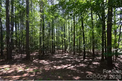 3009 Ashwood Park Drive #271, Belmont, NC 28012 - Photo 6