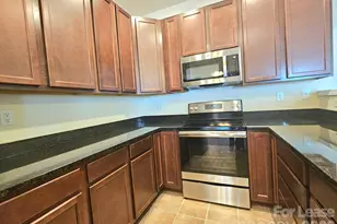 7320 Jane Parks Way, Charlotte, NC 28217 - Photo 4