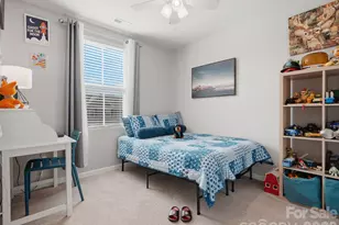 1003 Rushing Ln, Fort Mill, SC 29715 - Photo 32