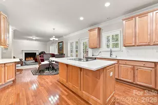 19104 Berkley Commons Dr, Cornelius, NC 28031 - Photo 34