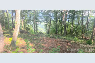 19 Estate Drive #39, Waynesville, NC 28786 - Photo 24