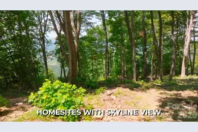 19 Estate Drive #39, Waynesville, NC 28786 - Photo 6