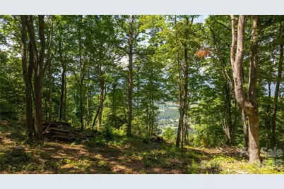 19 Estate Drive #39, Waynesville, NC 28786 - Photo 22