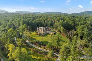 9 Brooklawn Chase None, Asheville, NC 28803 - Photo 46