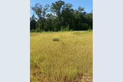 790 Hatchett Road, Lincolnton, NC 28092 - Photo 4