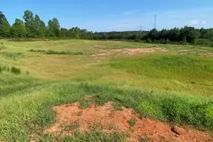 790 Hatchett Rd, Lincolnton, NC 28092 - Photo 1