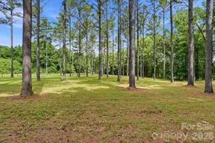 3545 Ernandez Rd, Richburg, SC 29729 - Photo 4