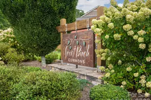 554 Sweet Birch Park Ln, Black Mountain, NC 28711 - Photo 40