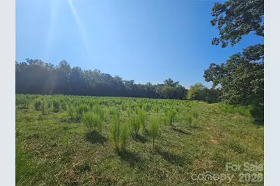 34.94+/- Acres Beaver Dam Church Road, Shelby, NC 28152 - Photo 14