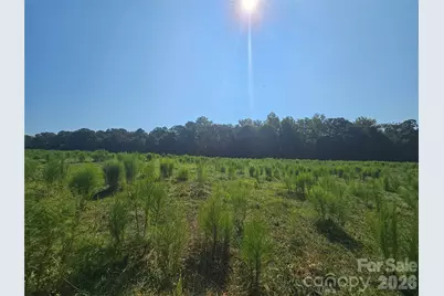 34.94+/- Acres Beaver Dam Church Road, Shelby, NC 28152 - Photo 12