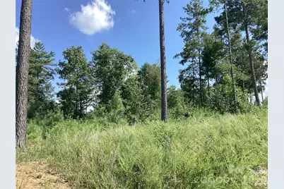3292 Pyramid Peak Trail #211, Connelly Springs, NC 28612 - Photo 2