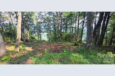 19 Estate Drive #40, Waynesville, NC 28786 - Photo 10