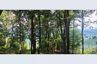19 Estate Drive #40, Waynesville, NC 28786 - Photo 22