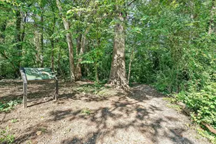 1538 Sterling Rd, Charlotte, NC 28209 - Photo 10