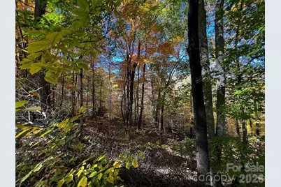 0000 Hemphill Road #3, Waynesville, NC 28785 - Photo 8