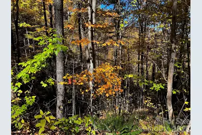 0000 Hemphill Road #3, Waynesville, NC 28785 - Photo 6