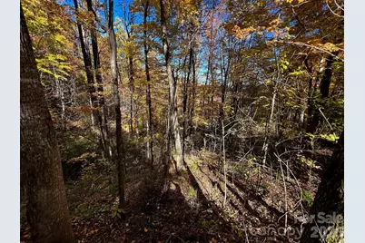 0000 Hemphill Road #3, Waynesville, NC 28785 - Photo 4