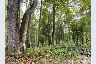 0000 Hemphill Road #3, Waynesville, NC 28785 - Photo 14