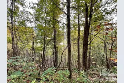0000 Hemphill Road #3, Waynesville, NC 28785 - Photo 12