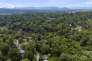 49 White Pine Dr, Asheville, NC 28805 - Photo 46