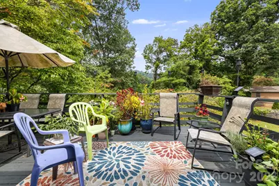 49 White Pine Drive, Asheville, NC 28805 - Photo 38