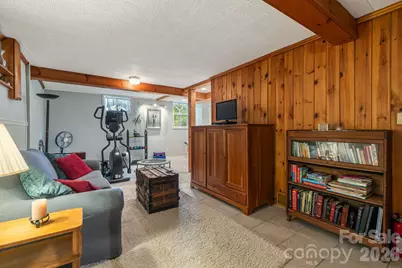 49 White Pine Drive, Asheville, NC 28805 - Photo 28