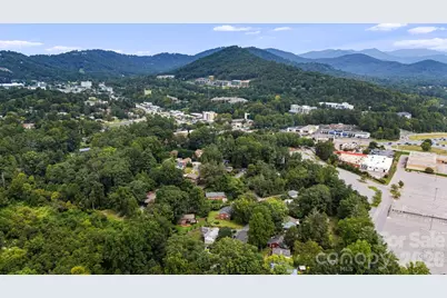 49 White Pine Drive, Asheville, NC 28805 - Photo 48
