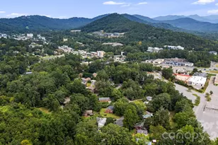 49 White Pine Dr, Asheville, NC 28805 - Photo 48